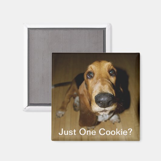 Henry Longfellow Magnet (Vorderseite/Rückseite)