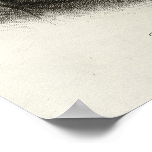 Henry Montgomery Poster (Ecke)