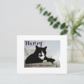Henry the Feline Fibre Artist Post Card Postkarte (Stehend Vorderseite)