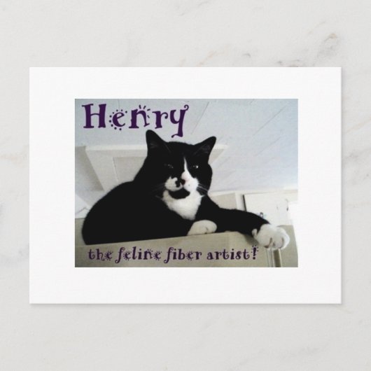 Henry the Feline Fibre Artist Post Card Postkarte (Vorderseite)