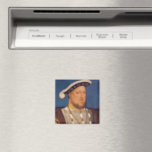 Henry VIII Magnet (In Situ (Geschirrspüler))