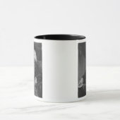 HenryFox, 1. Baron Holland Tasse (Zentrum)