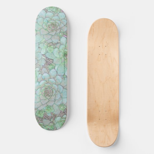 Hens And Chicks Skateboard (Vorderseite)