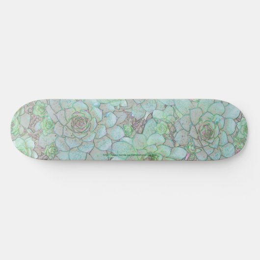 Hens And Chicks Skateboard (Horizontal)