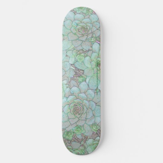 Hens And Chicks Skateboard (Vorderseite)