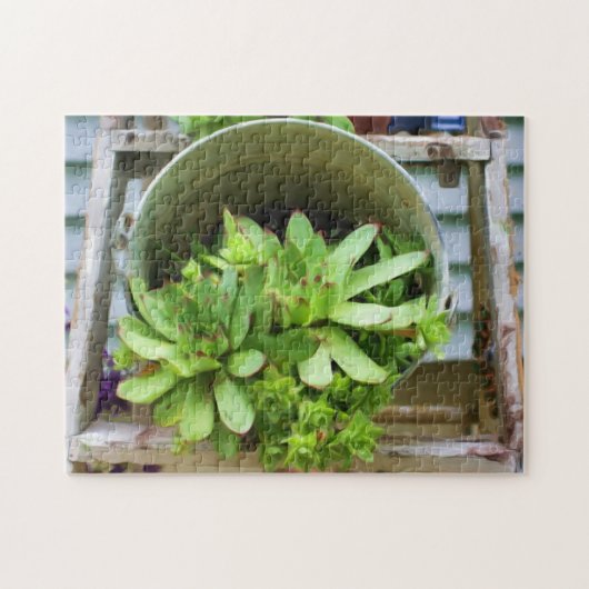 Hens And Chicks Succulents Photo Oil Painting Puzzle (Horizontal)