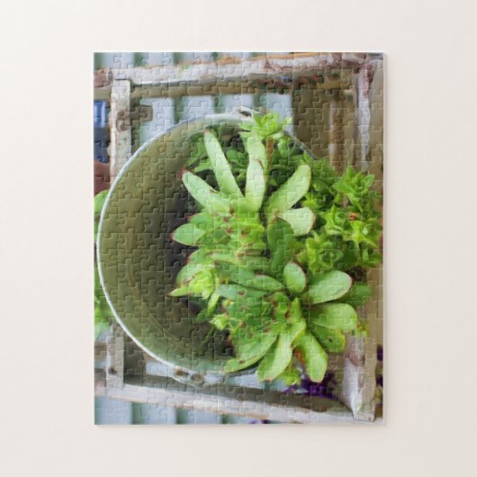 Hens And Chicks Succulents Photo Oil Painting Puzzle (Vertikal)
