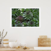 Hens Poster (Küche)