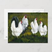 "Hens & Rooster" Art Reproduction Postcard Postkarte (Vorne/Hinten)