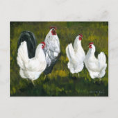 "Hens & Rooster" Art Reproduction Postcard Postkarte (Vorderseite)