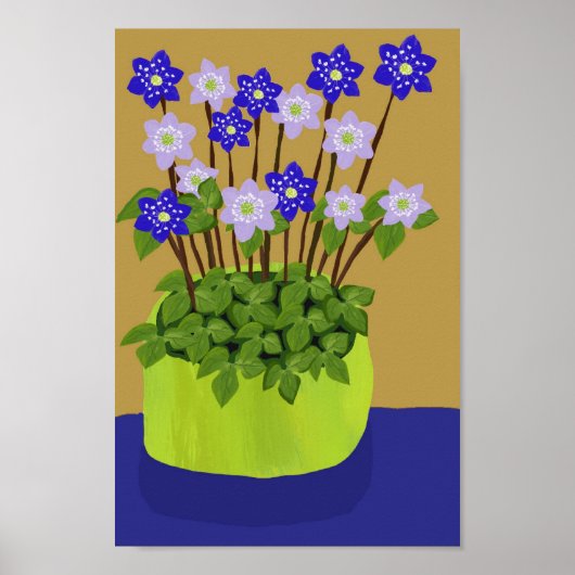 Hepatica-Poster Poster (Vorne)