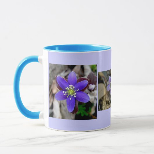 Hepatica-Tasse Tasse (Links)
