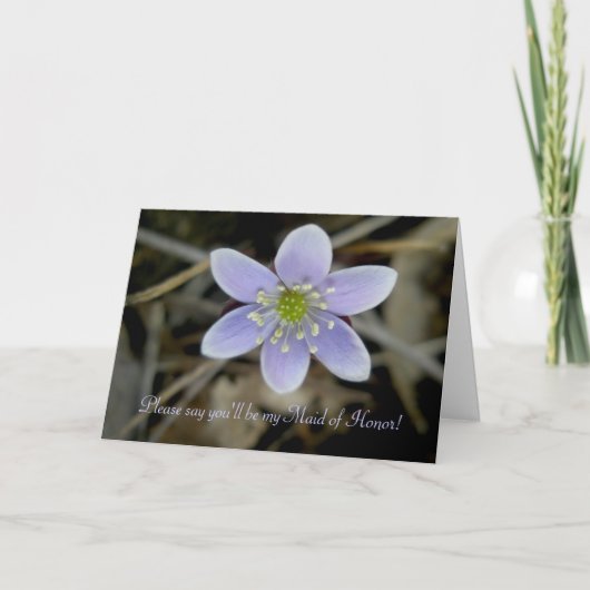 Hepatica-Trauzeugin Feiertagskarte (Vorderseite)