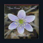 Hepatica Wedding Rememberance Magnet<br><div class="desc">Ein Gedenkmagnet für kleine Geschenke.</div>