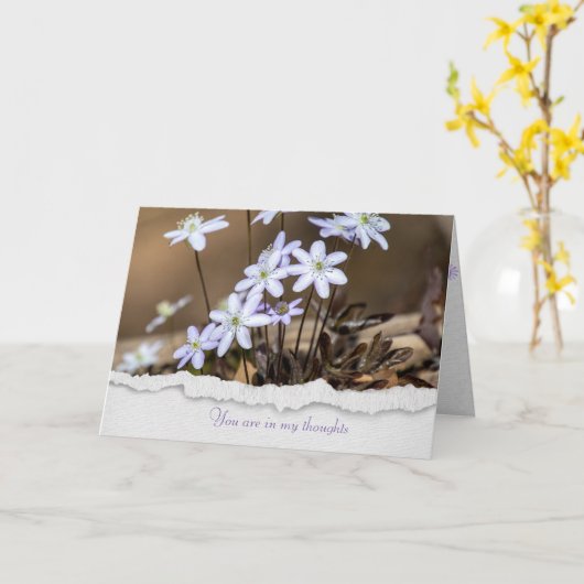 Hepatica-Wildblume Karte (Gelbe Blume)