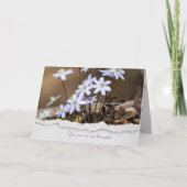 Hepatica-Wildblume Karte (Vorderseite)