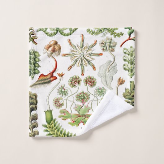 Hepaticae Lebermoose von Ernst Haeckel Badhandtuch Set (Waschlappen)