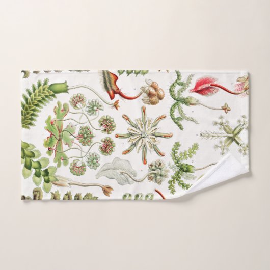 Hepaticae Lebermoose von Ernst Haeckel Badhandtuch Set (Handtuch)