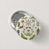 Hepaticae Lebermoose von Ernst Haeckel Button (Vorne & Hinten)