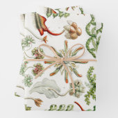 Hepaticae Lebermoose von Ernst Haeckel Geschenkpapier Set (Beispiel)