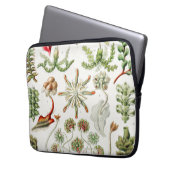 Hepaticae Lebermoose von Ernst Haeckel Laptopschutzhülle (Vorderseite Links)