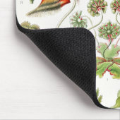 Hepaticae Lebermoose von Ernst Haeckel Mousepad (Ecke)