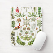 Hepaticae Lebermoose von Ernst Haeckel Mousepad (Mit Mouse)