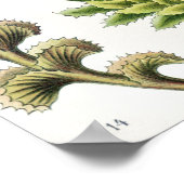 Hepaticae Lebermoose von Ernst Haeckel Poster (Ecke)