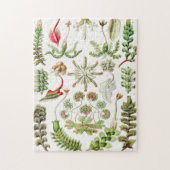 Hepaticae Lebermoose von Ernst Haeckel Puzzle (Vertikal)