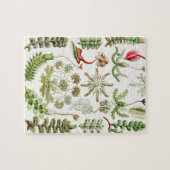 Hepaticae Lebermoose von Ernst Haeckel Puzzle (Horizontal)
