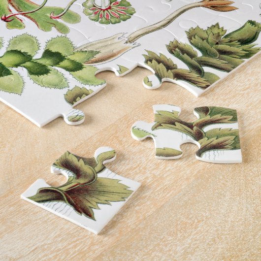 Hepaticae Lebermoose von Ernst Haeckel Puzzle (Seite)