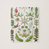 Hepaticae Lebermoose von Ernst Haeckel Puzzle (Vertikal)