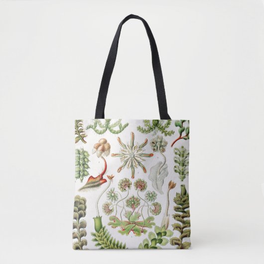 Hepaticae Lebermoose von Ernst Haeckel Tasche (Vorderseite)