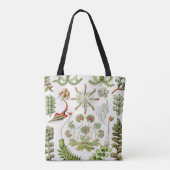 Hepaticae Lebermoose von Ernst Haeckel Tasche (Rückseite)