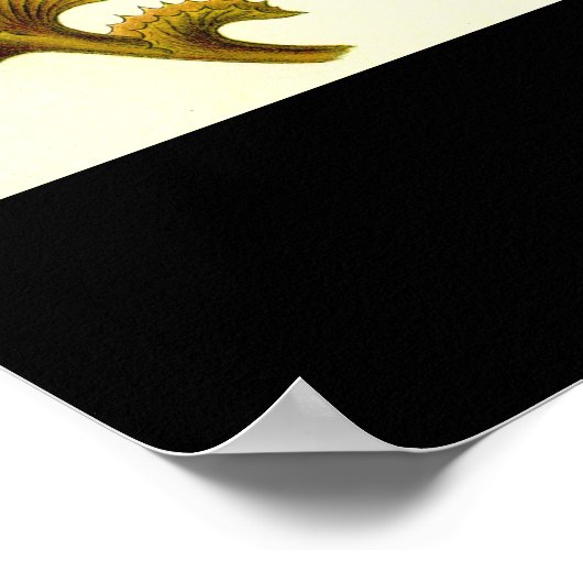 Hepaticae-Marchantia - Plate 82 - Kunstformen der Poster (Ecke)