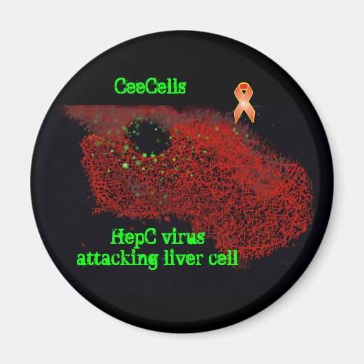 HepC-Virus, das Leberzellen angreift Magnet (Vorne)