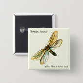 Hepialus humuli women - Ghost Moth oder Ghost Swif Button (Vorne & Hinten)