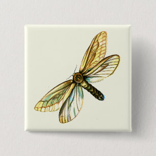 Hepialus humuli women - Ghost Moth oder Ghost Swif Button