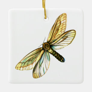 Hepialus humuli women - Ghost Moth oder Ghost Swif Keramikornament