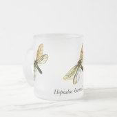 Hepialus humuli women - Ghost Moth oder Ghost Swif Mattglastasse (Vorderseite Links)