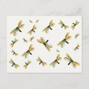 Hepialus humuli women - Ghost Moth oder Ghost Swif Postkarte