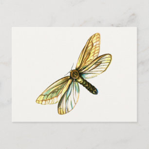 Hepialus humuli women - Ghost Moth oder Ghost Swif Postkarte