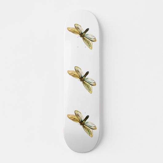 Hepialus humuli women - Ghost Moth oder Ghost Swif Skateboard (Vorne)