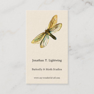 Hepialus humuli women - Ghost Moth oder Ghost Swif Visitenkarte