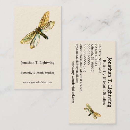 Hepialus humuli women - Ghost Moth oder Ghost Swif Visitenkarte (Vorne/Hinten)