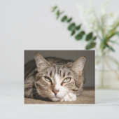 Her name is Asia Postkarte (Stehend Vorderseite)