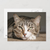 Her name is Asia Postkarte (Vorne/Hinten)