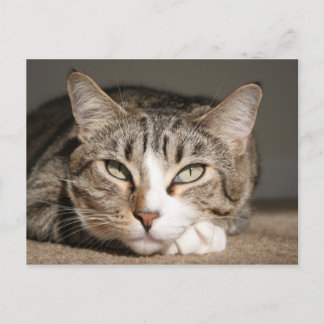 Her name is Asia Postkarte