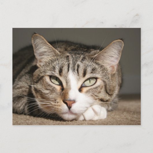 Her name is Asia Postkarte (Vorderseite)