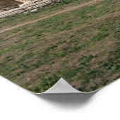 Hera-I-Tempel Poster (Ecke)